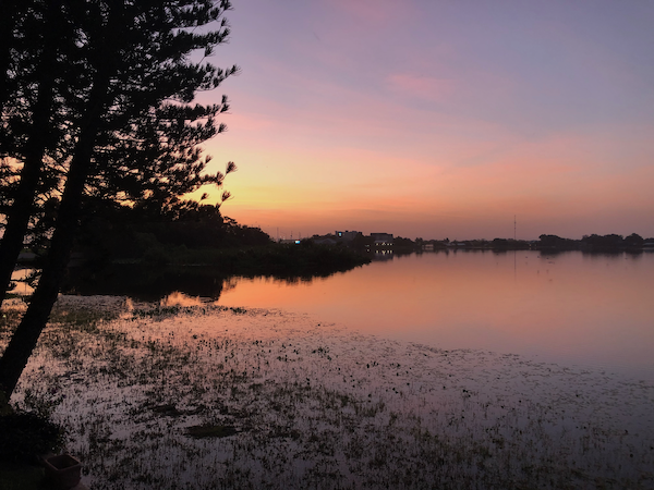 Sebring, Florida Vision 2 Market photo